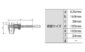 デジタルノギス  大文字  ４５０㎜ホールド機能付を表示