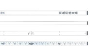 尺杖  １３尺５寸  併用目盛