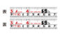 コンベックス  スマートギア  １９－５．５ｍ  尺相当目盛付３色アソートを表示
