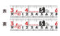 コンベックス  スマートギア  ２５－５．５ｍ  尺相当目盛付３色アソートを表示