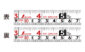 コンベックス  フィットギア  １９－５．５ｍ  尺相当目盛付を表示